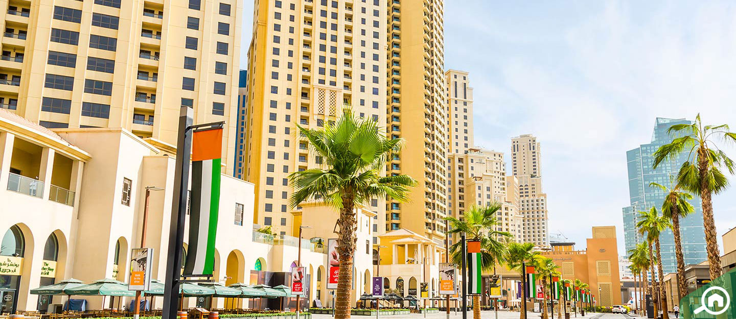 Jumeirah Beach Residence Jbr Area Guide Bayut