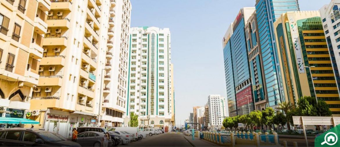 Airport Street Area Guide Bayut