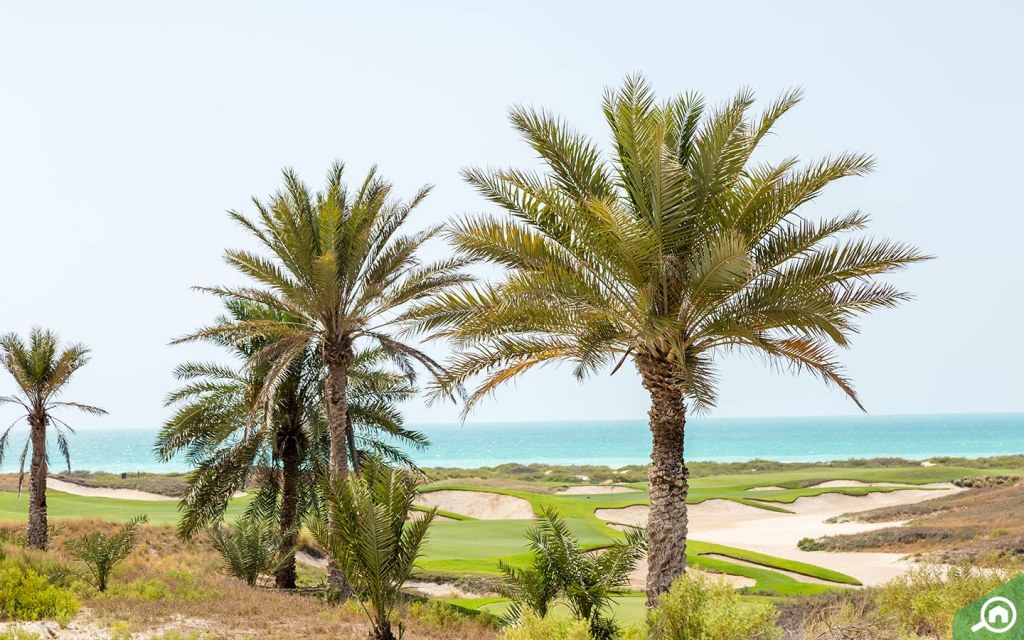 شاطئ جزيرة السعديات