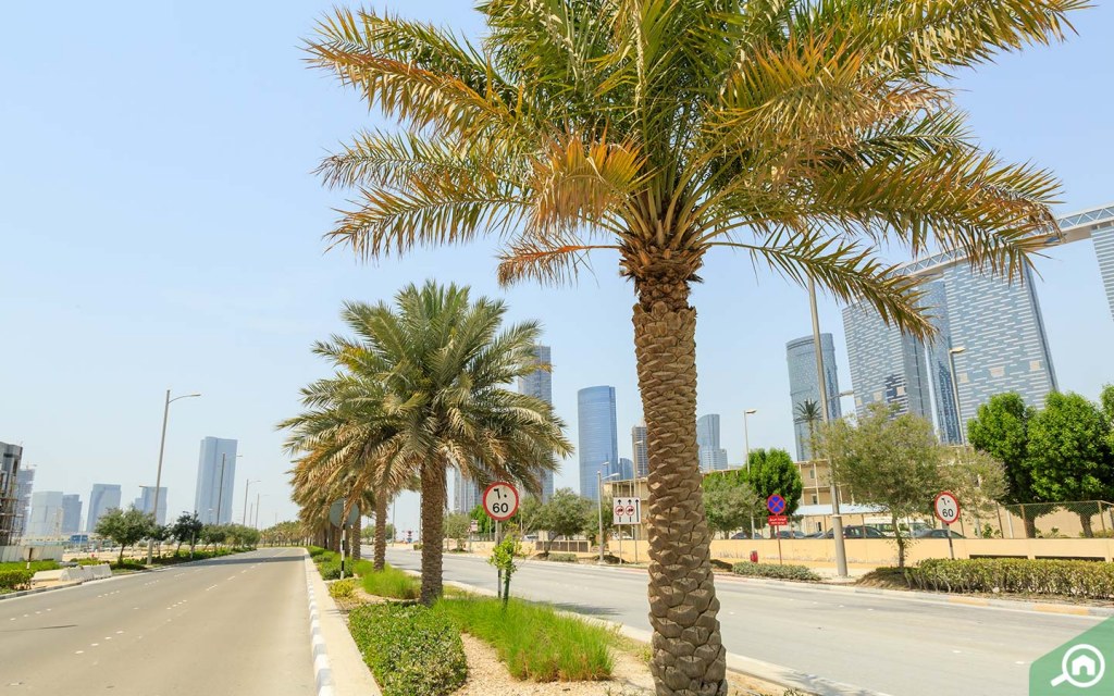 Al Reem Island near Al Maryah Island