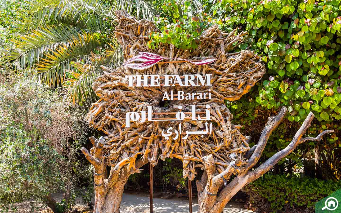 مطعم ذا فارم في البراري