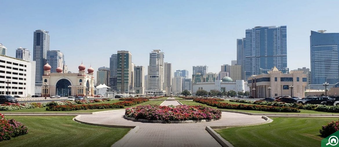 Al Taawun Area Guide Bayut