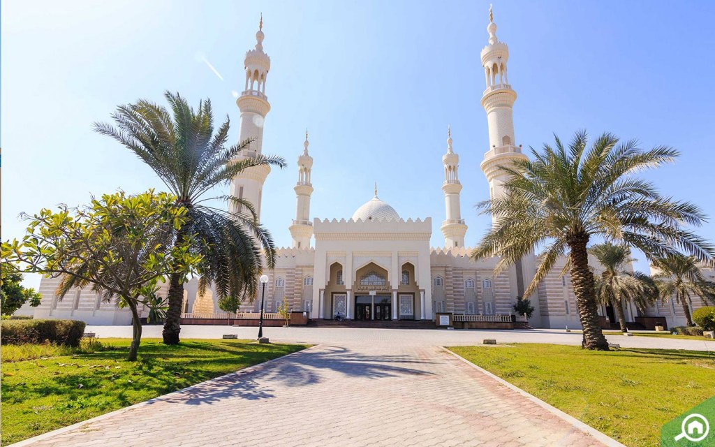 مسجد الشيخ زايد