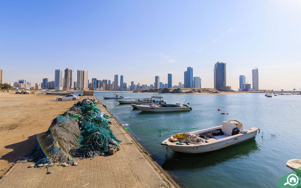 شاطئ المجاز