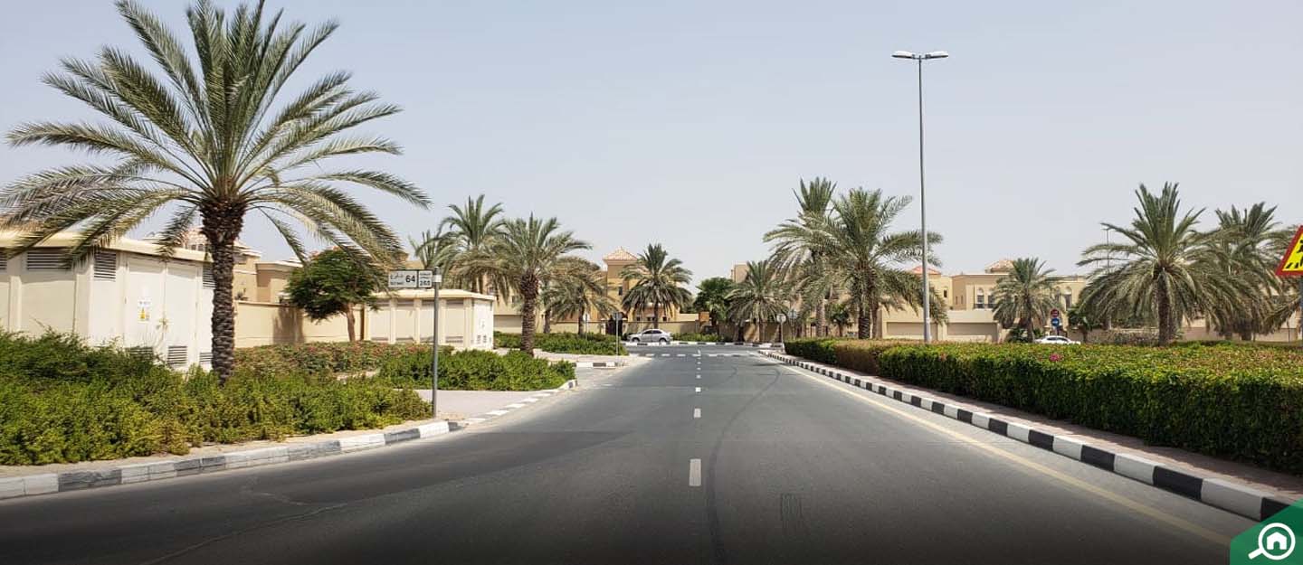 Oud Al Muteena Area Guide Bayut