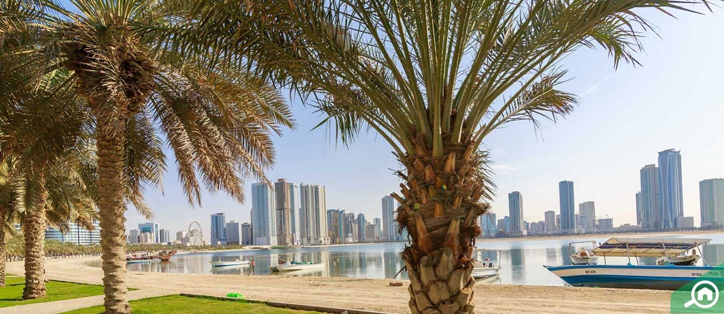 Wasit Suburb, Sharjah Area Guide Bayut