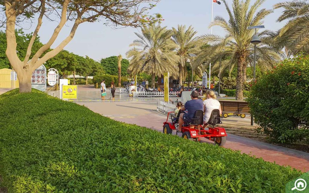 رايب ماركت داخل متنزه بحيرة البرشاء
