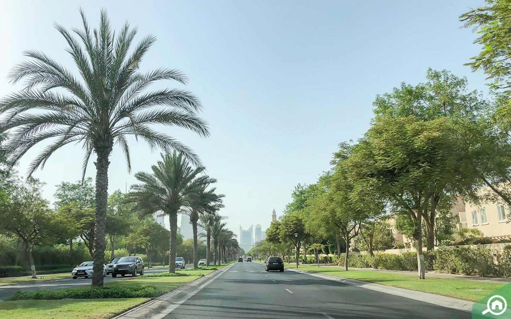 springs emirates living community