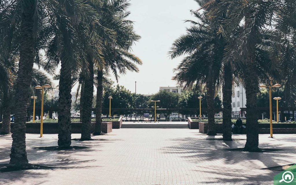حديقة في الكرامة