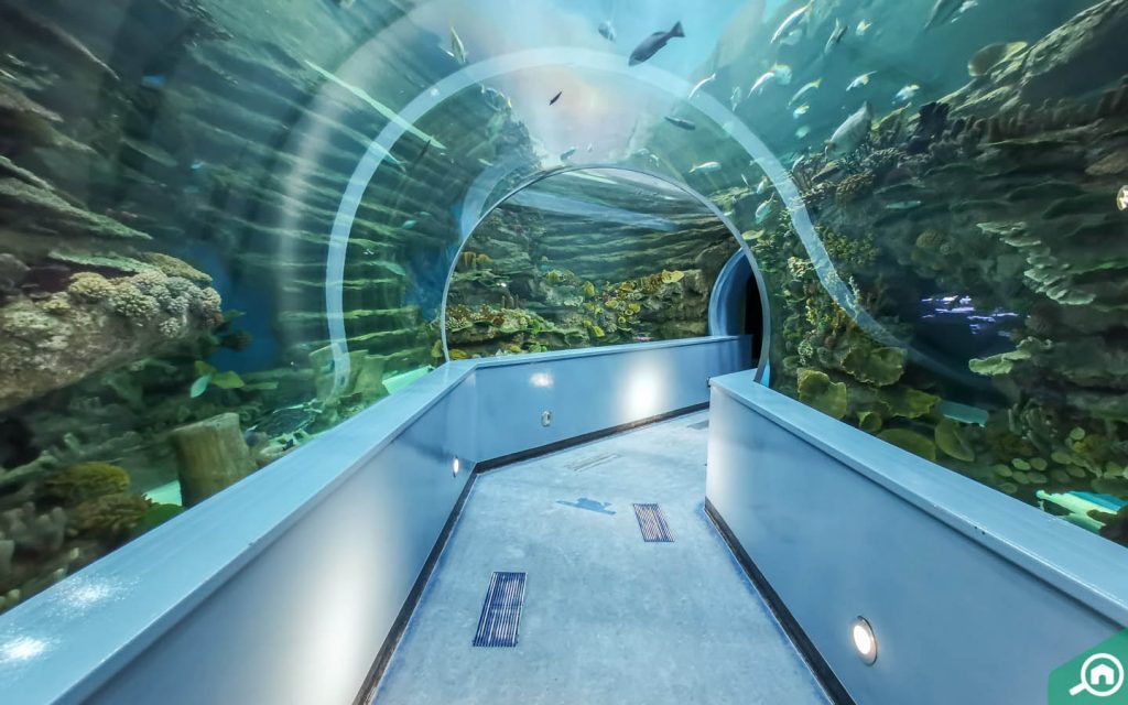 Sharjah Aquarium