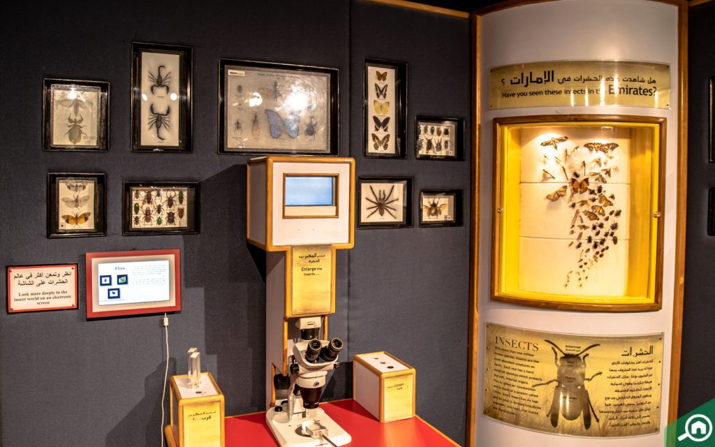An inside view of Sharjah Science Museum