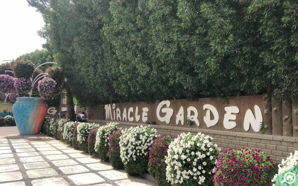 Entrance of Miracle Garden