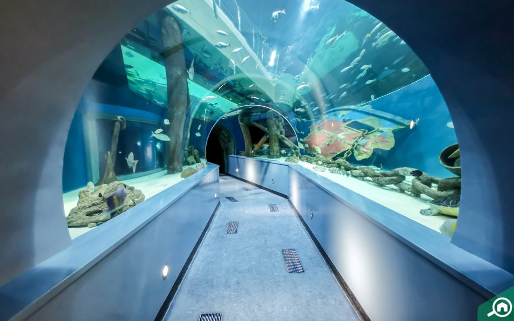 Inside view of Sharjah Aquarium