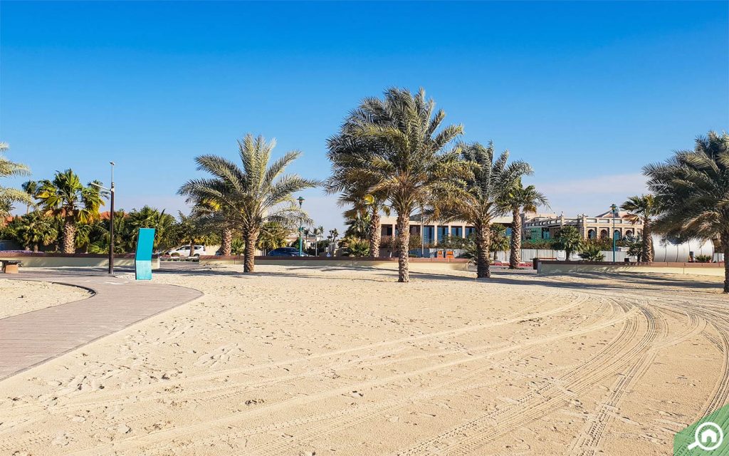 أشجار النخيل والرمال ناعمة