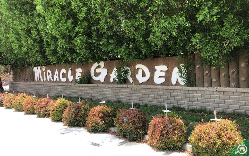 Dubai Miracle Garden