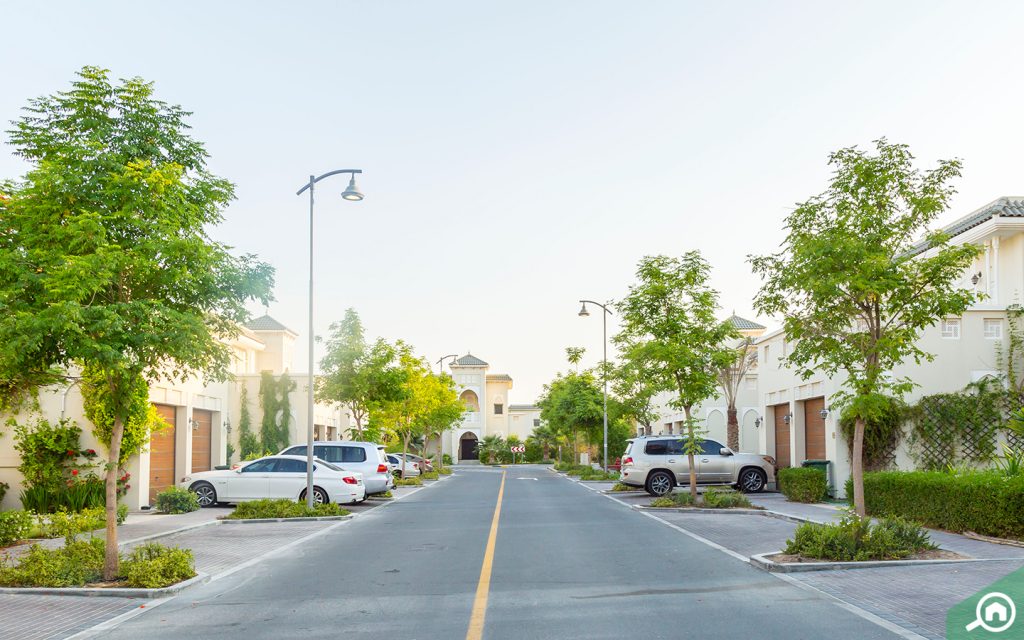 نمط حياة هادئ