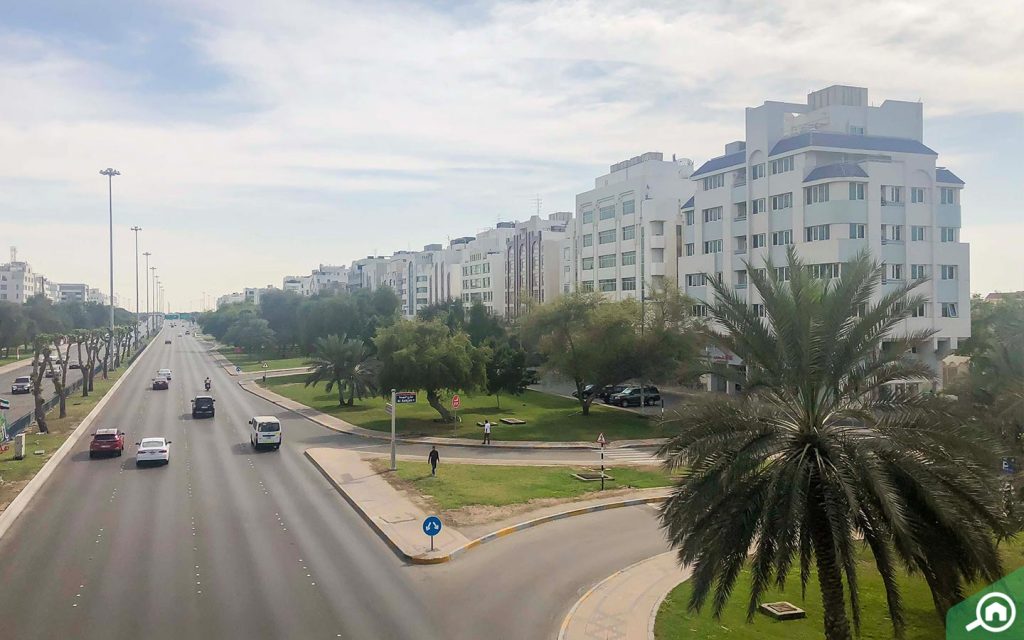 شارع رئيسي