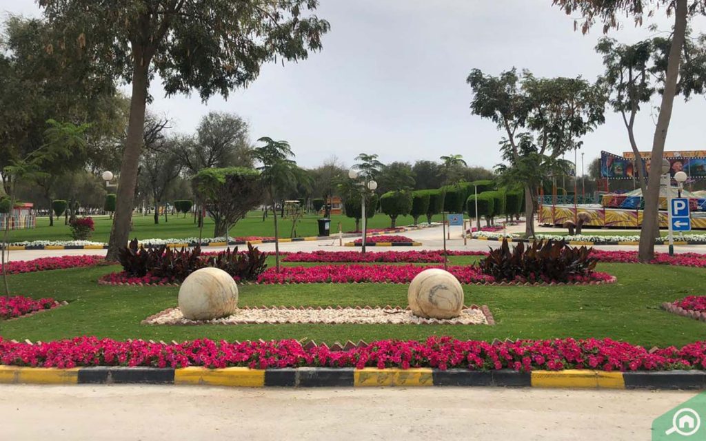 حديقة صقر العامة