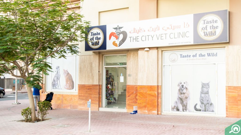 The City Vet Clinic