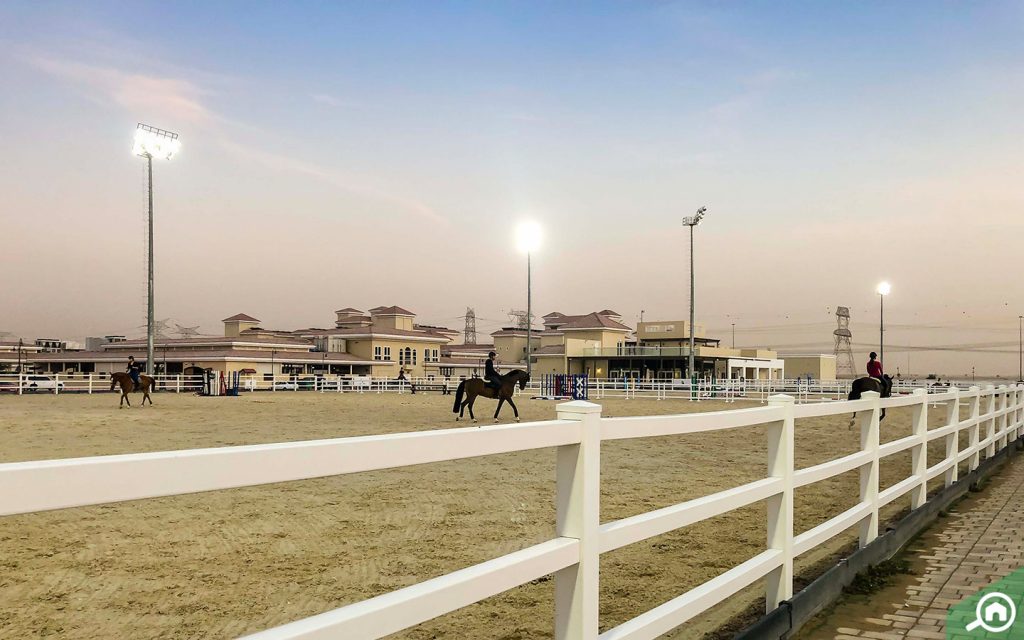 Al Habtoor Polo Resort