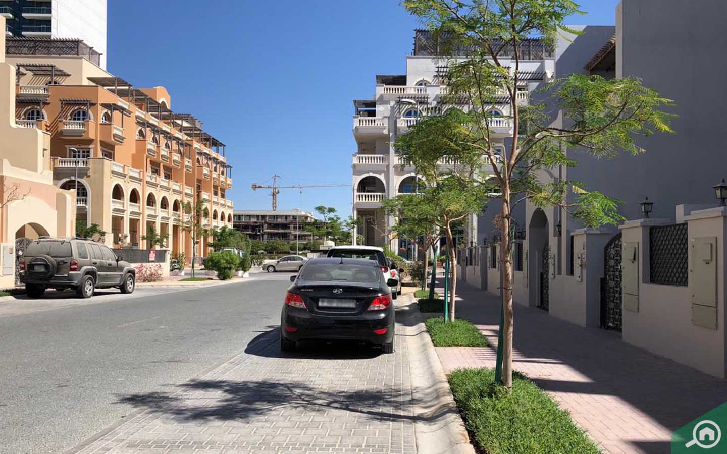 Divine Homes, JVC Area Guide Bayut