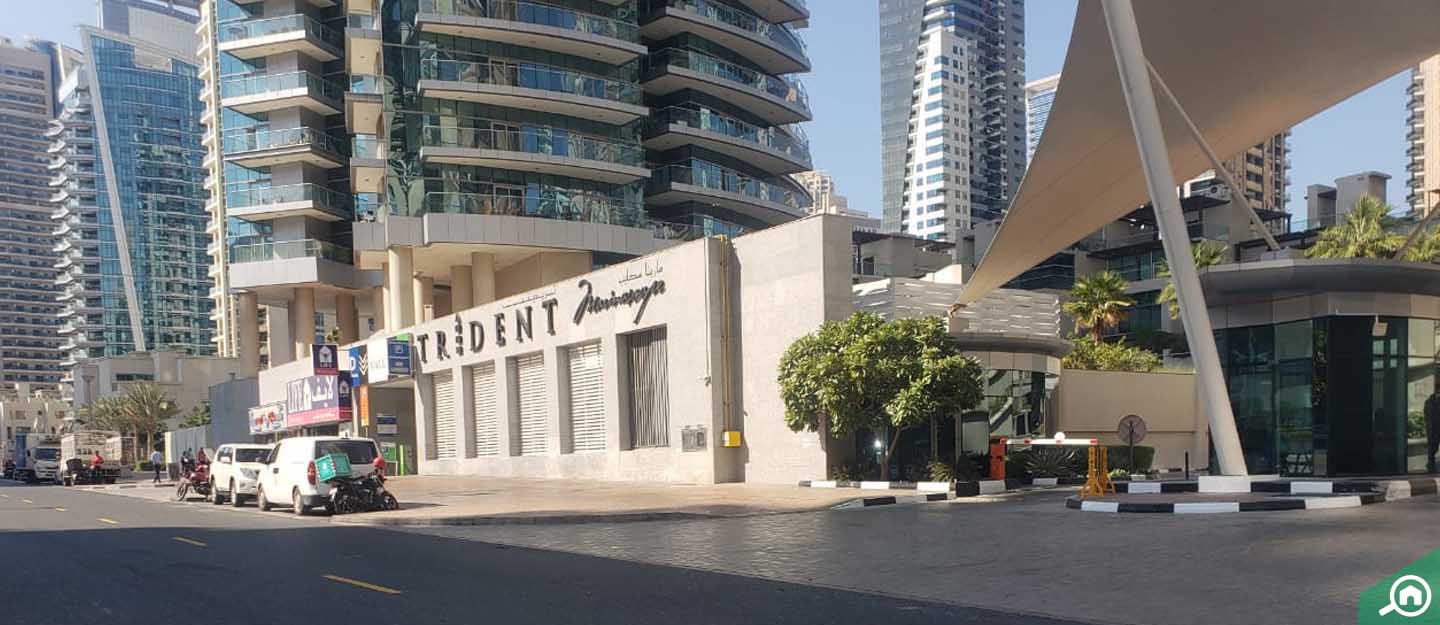 Marinascape Marina Homes Area Guide Bayut