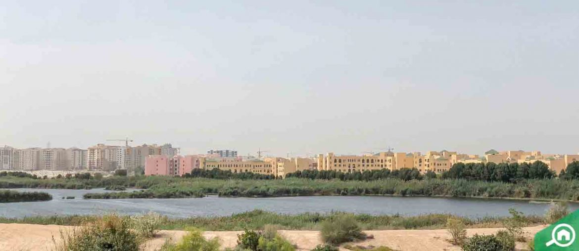 Dubai Textile City Area Guide Bayut