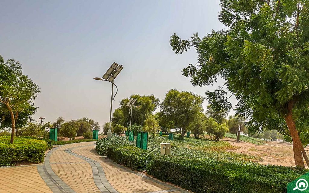 حديقة العوير الثانية