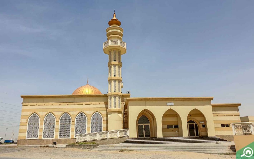 جامع البصيرة