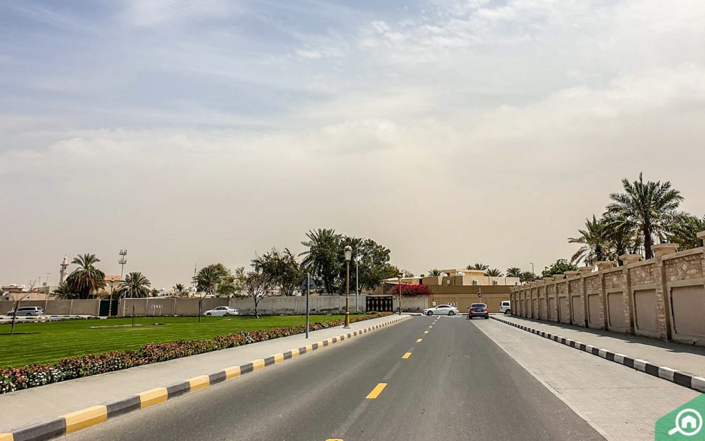 شارع من ضاحية حلوان