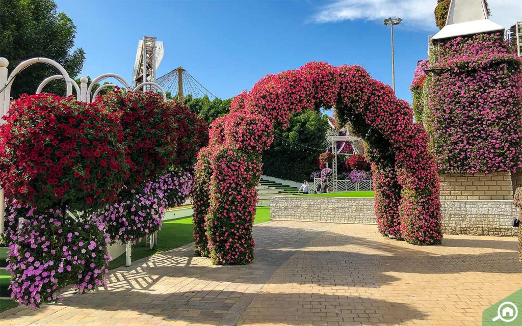 A view at Dubai Miracle Garden