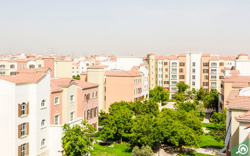 مباني ومساحة خضراء