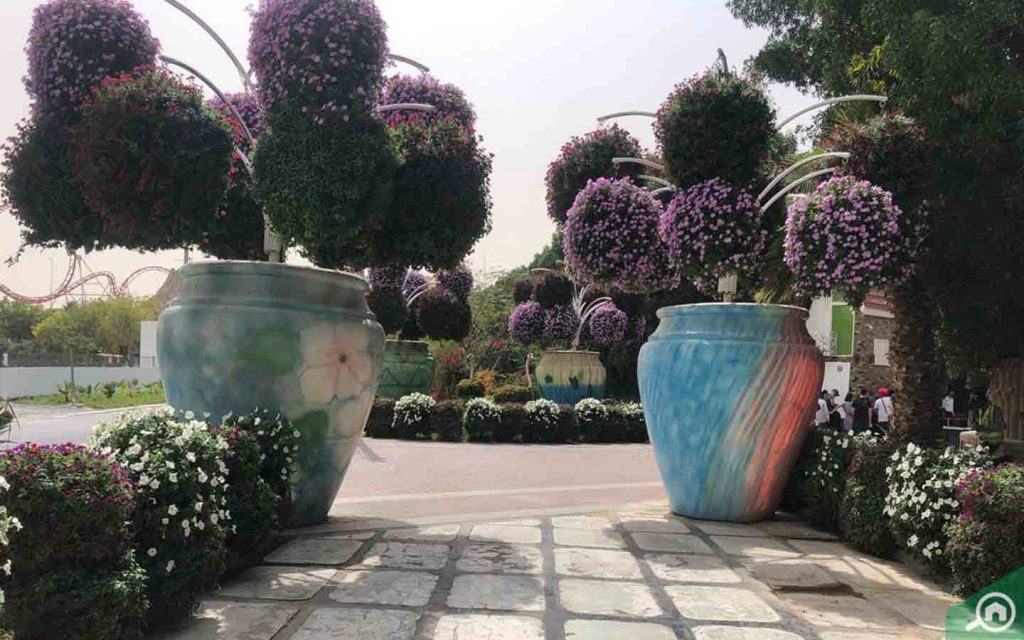 Dubai Miracle Garden