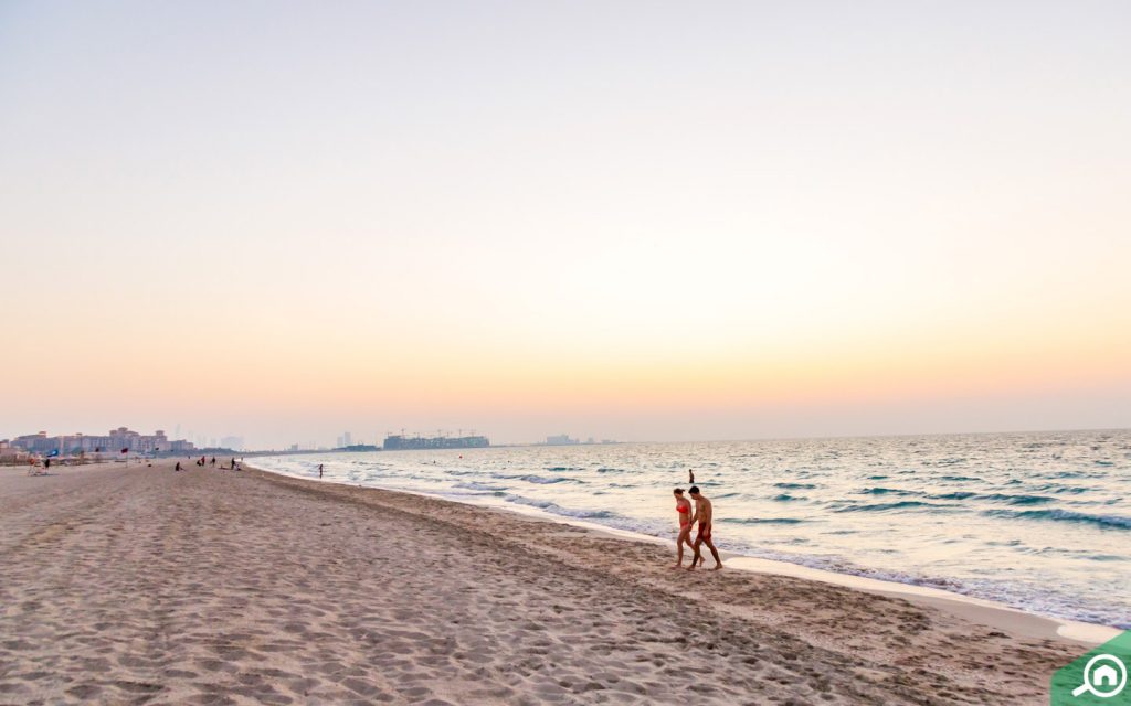 saadiyat beach