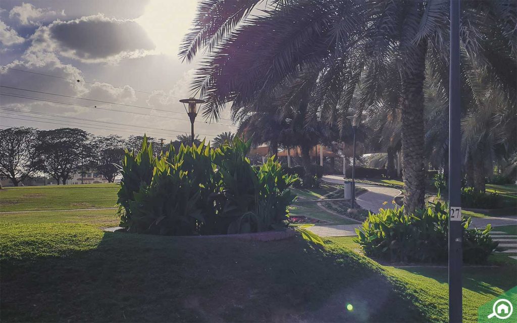 park near al qusais residential area