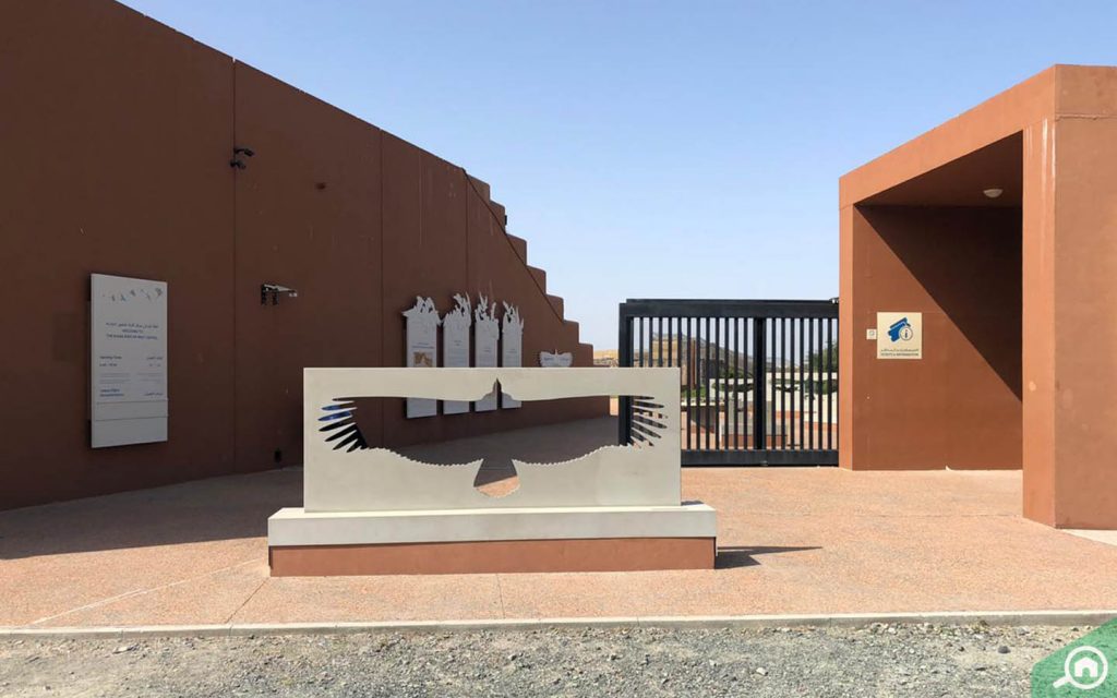 مركز كلباء للطيور الجارحة