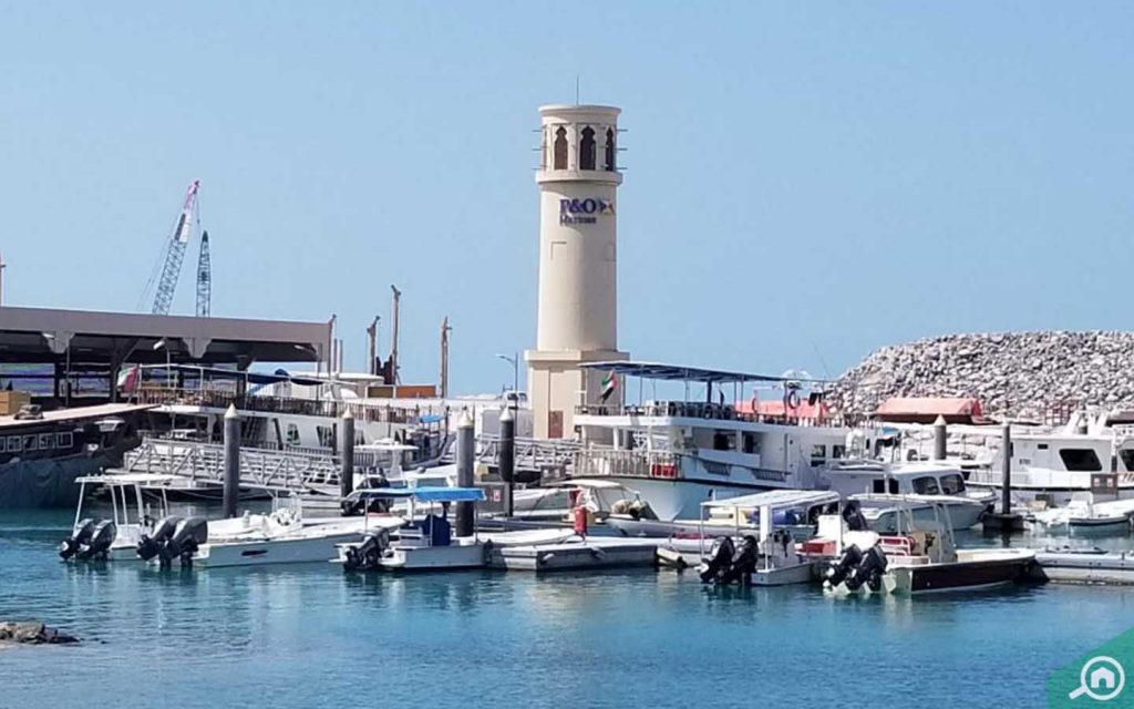 dubai fishing harbour in umm suqeim 2