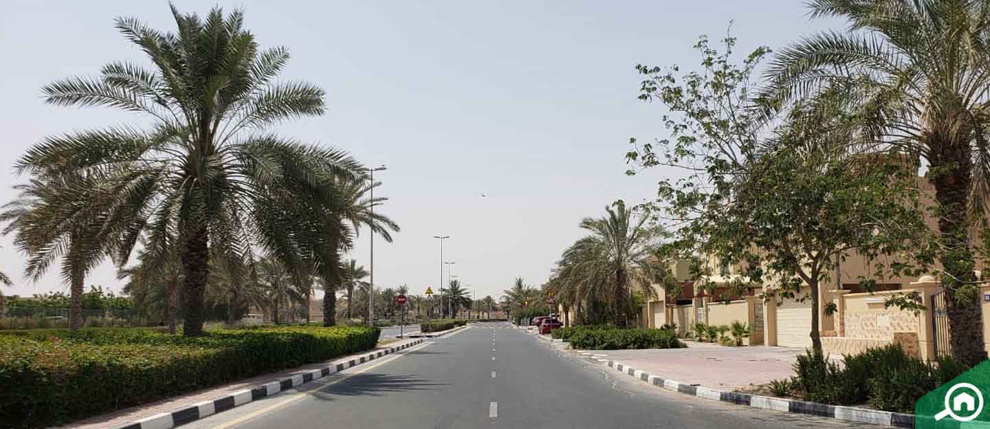 Oud Al Muteena 3, Dubai Area Guide Bayut