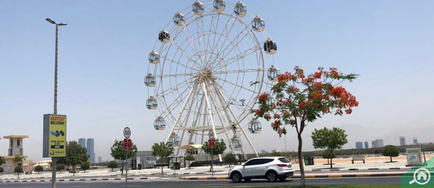 Sheikh Muhammad Bin Salem Road Area Guide Bayut