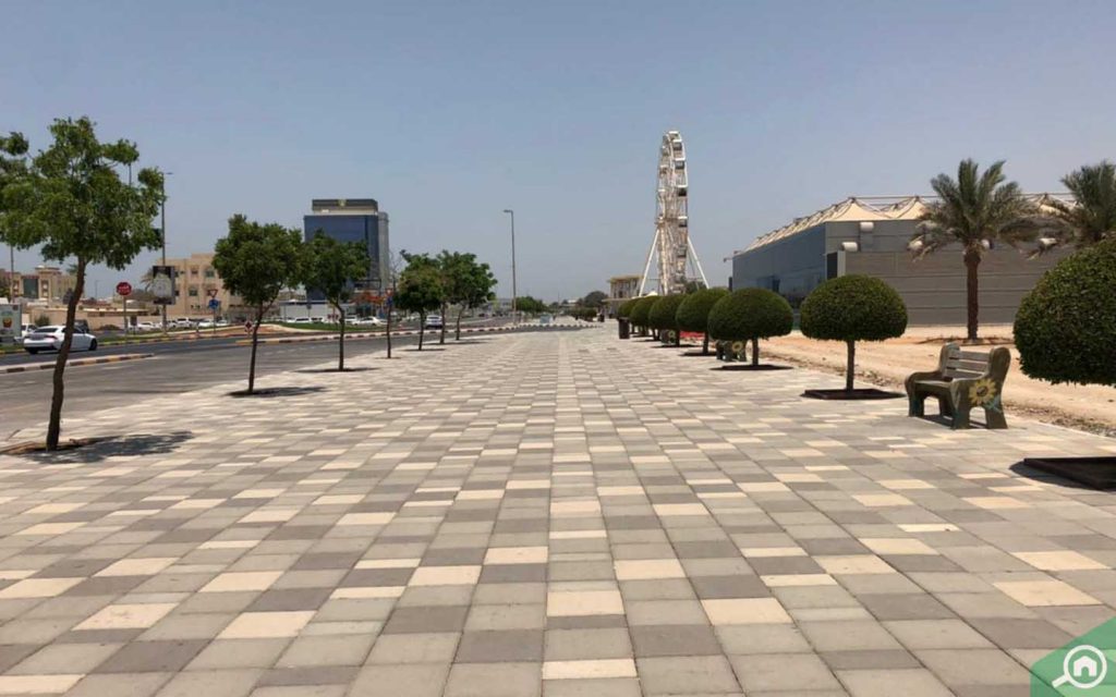 Sheikh Muhammad Bin Salem Road Area Guide Bayut