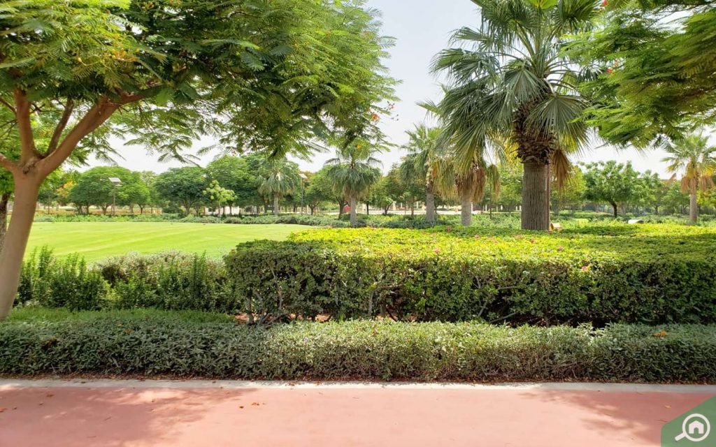 park near oud al muteena