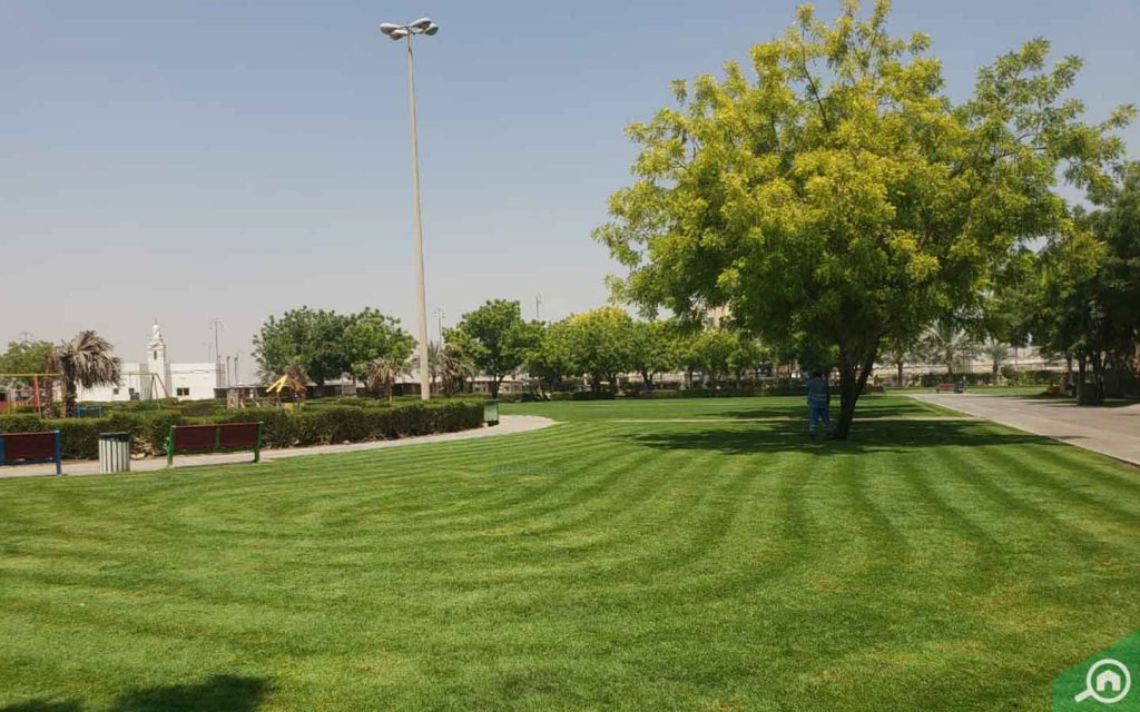 حديقة عامة في قرية الأميرة