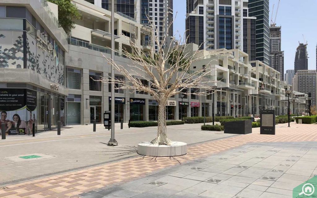 باي أفينيو