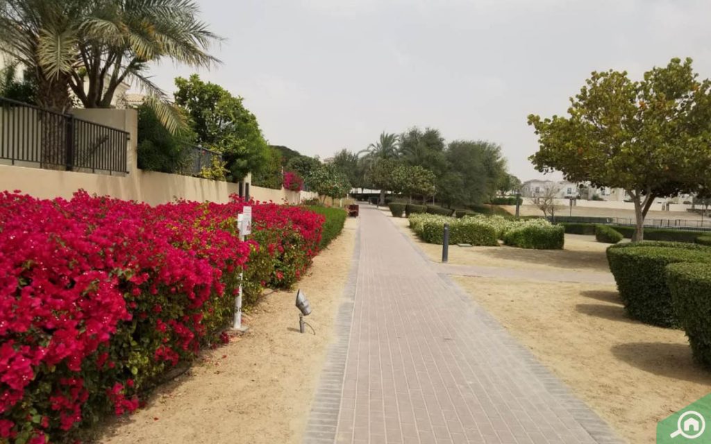 Parks in Saheel 4