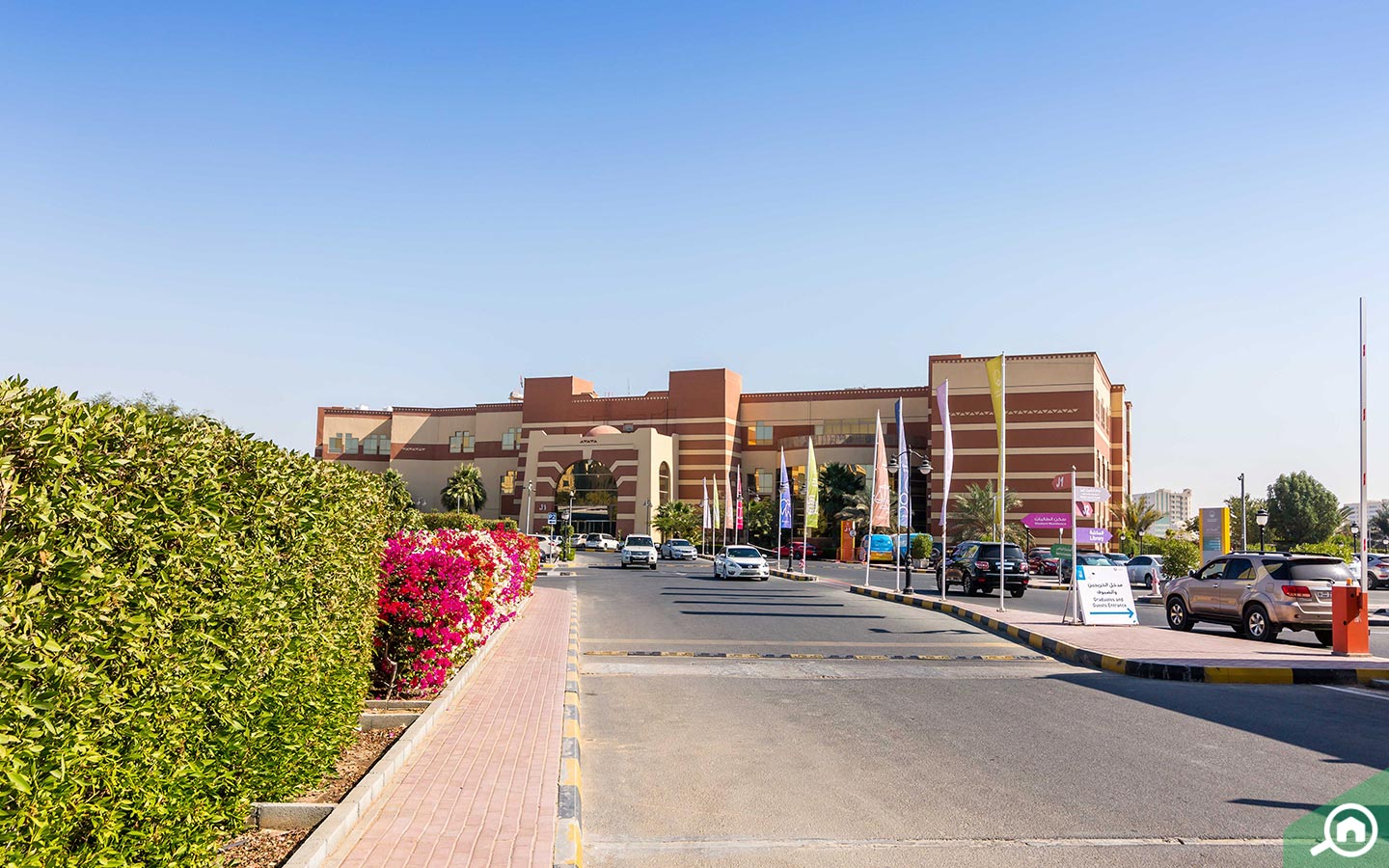 جامعة عجمان