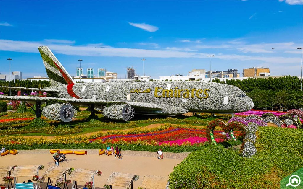 The Emirates Airbus A380 at Miracle Garden