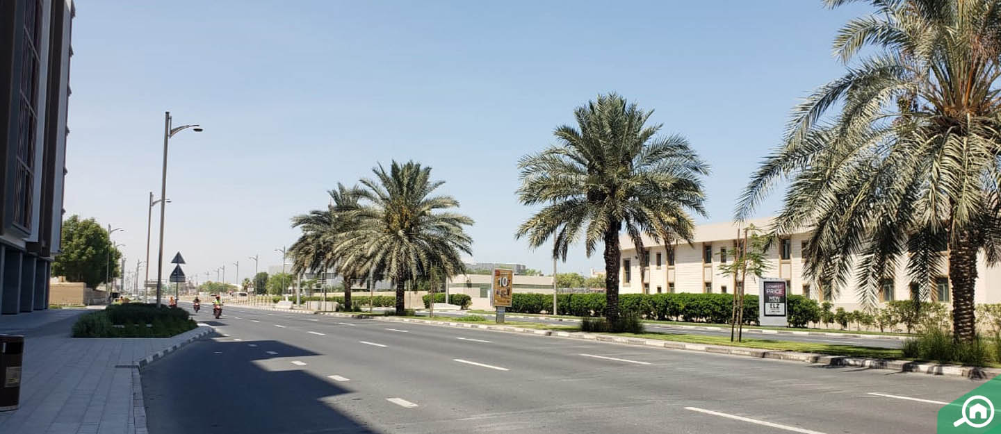 Al Rigga Road, Deira Area Guide Bayut