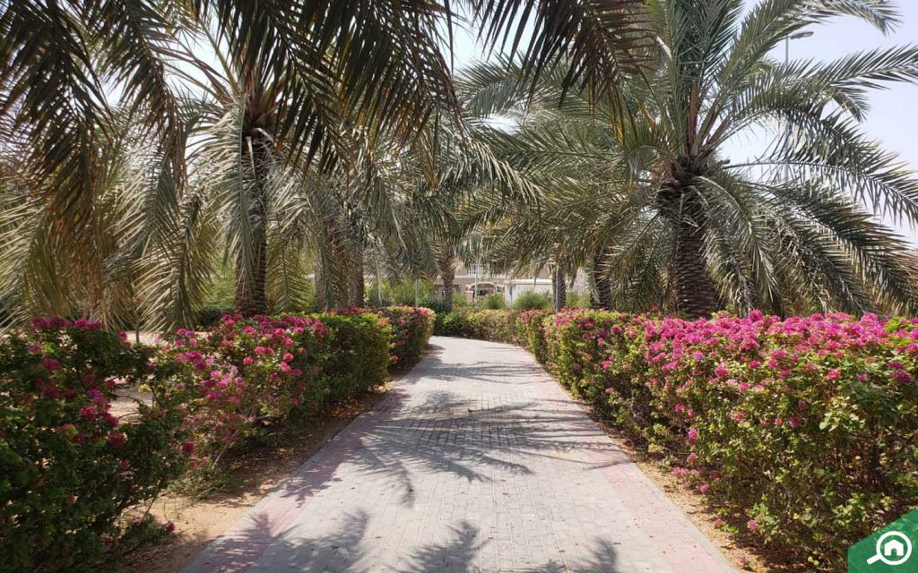 Community Park in JVC